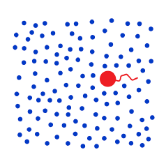 Brownian motion