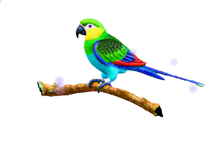 Parrot