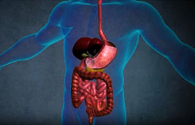 Digestive System (Odia)