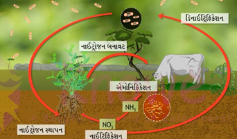 Nitrogen Inspection (Gujarati)